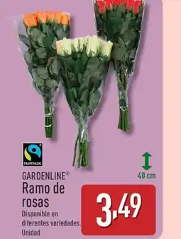 ALDI GARDENLINE Ramo de oferta