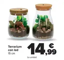 Carrefour Terrarium con led oferta