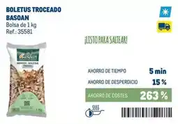 Makro Boletus troceado basoan oferta