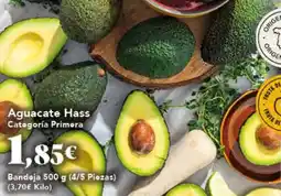 Gadis Aguacate Hass oferta