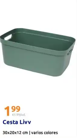 Action Cesta Livv oferta