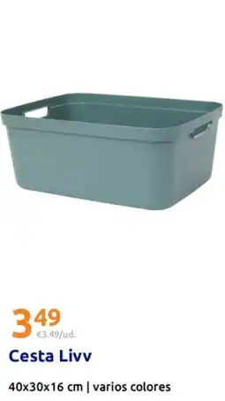 Action Cesta Livv oferta