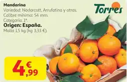 Alcampo Mandarina oferta