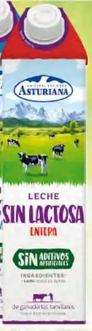 Gadis C.L. ASTURIANA Leche sin Lactosa Entera oferta