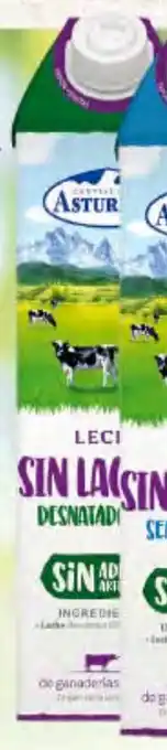 Gadis C.L. ASTURIANA Leche sin Lactosa Desnatada oferta