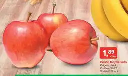 SPAR Poma Royal Gala oferta