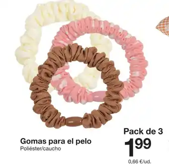 Zeeman Gomas para el pelo oferta