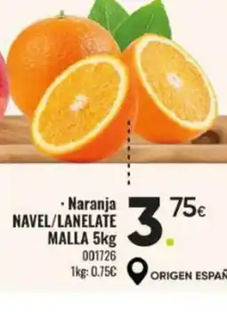 Family Cash Naranja oferta