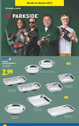 Lidl PARKSIDE Bandejas magnéticas oferta