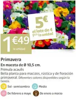 Jardiland Primavera oferta