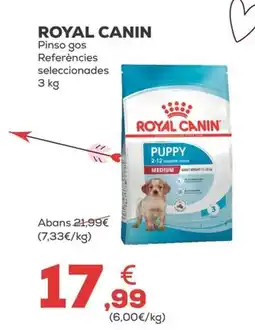 Kiwoko ROYAL CANIN Pinso gos Referències seleccionades oferta