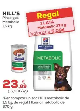 Kiwoko HILL'S Pinso gos Metabolic oferta