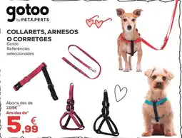 Kiwoko GOTOO Collarets, arnesos o corretges oferta