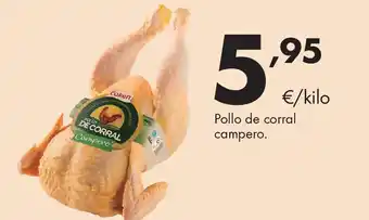 Pollo de corral campero