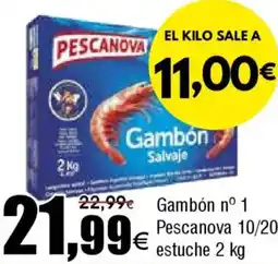 FROIZ PESCANOVA Gambón nº 1 10/20 estuche oferta