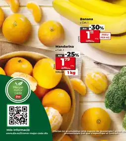 Dia Mandarina oferta