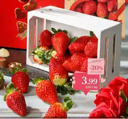 Supermercados Plaza Freson oferta