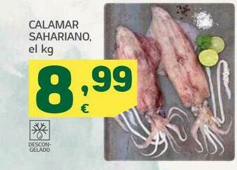 HiperDino Calamar Sahariano oferta