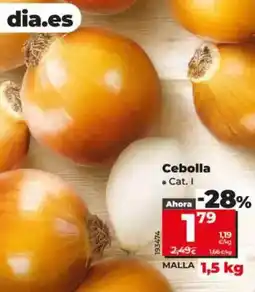 Dia Cebolla oferta