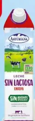Dia Asturiana - leche sin lactosa entera oferta