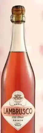Dia Dante - vino rosado lambrusco oferta