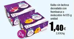 FROIZ KAIKU sin lactosa desnatado con frambuesa o melocotón oferta