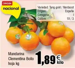 FROIZ Mandarina Clementina Bollo hoja oferta