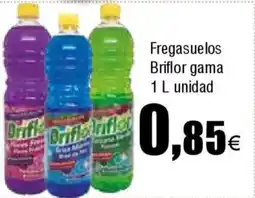 FROIZ BRIFLOR Fregasuelos gama oferta