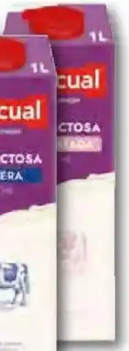 Unide Supermercados PASCUAL Leche sin lactosa desnatada oferta