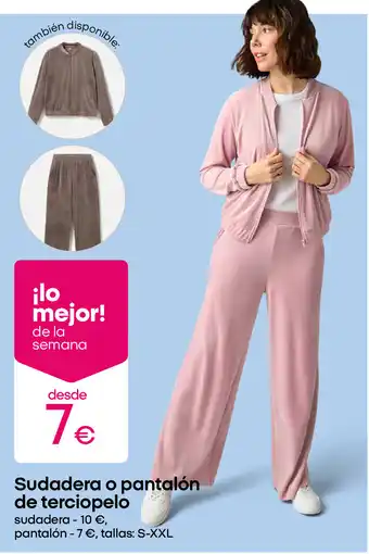 Sudadera o pantalón de terciopelo