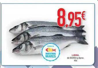 Masymas Lubina 600/800g oferta