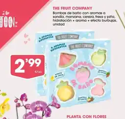 Supermercados Plaza THE FRUIT COMPANY Bombas de baño con aromas a sandía, manzana, cereza, fresa y piña, hidratación + aroma + efecto burbujas oferta