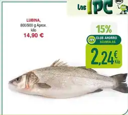 Masymas Lubina oferta