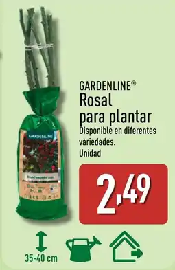 ALDI GARDENLINE Rosal para plantar oferta