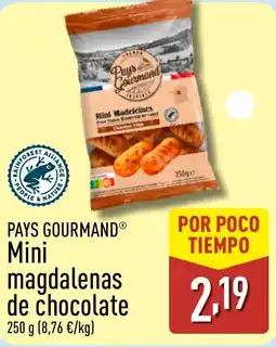 ALDI PAYS GOURMAND Mini magdalenas de chocolate oferta