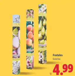 Lidl Frutales oferta
