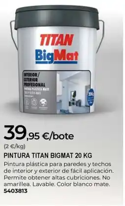 BigMat BIGMAT Pintura titan oferta