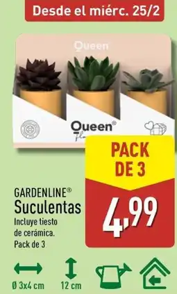 ALDI GARDENLINE Suculentas oferta