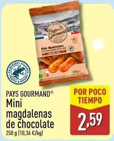 ALDI Pay's gourmand - mini magdelenas de chocolate oferta