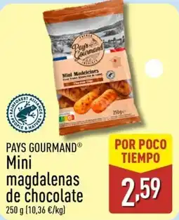 ALDI PAYS GOURMAND Mini magdalenas de chocolate oferta
