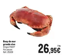 Makro Origen - buey de mar grande vivo oferta