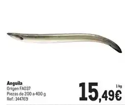 Makro Origen - anguila oferta