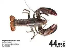 Makro Origen - bogavante càscara dura oferta