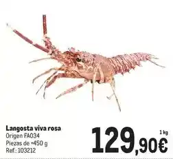 Makro Origen - langosta viva rosa oferta