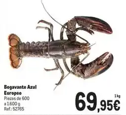 Makro Bogavante azul europeo oferta