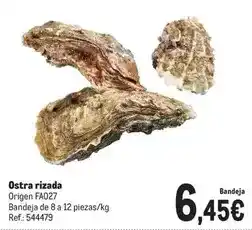 Makro Origen - ostra rizada oferta