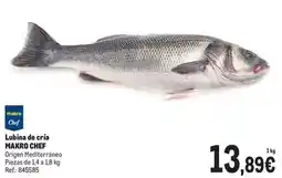 Makro Makro - lubina de cria oferta