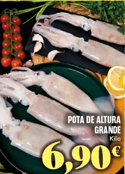 Gadis Pota de altura grande oferta