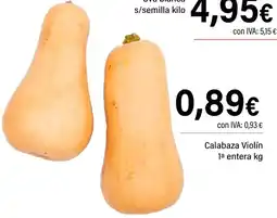 Cash Ifa Calabaza Violín 1a entera oferta
