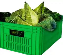 Cash Ifa Repollo tipo corazón oferta